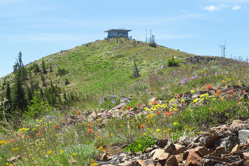 Dixie Butte Lookout [Dixie Butte, Malheur National Forest, Grant County, Oregon]