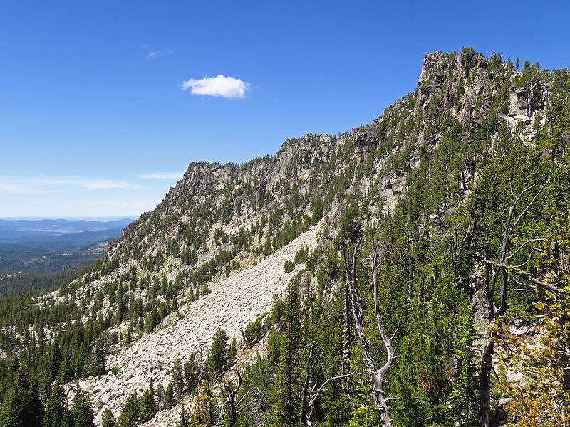 south side of Angell Peak [Angell Pass, Wallowa-Whitman National Forest, Grant County, Oregon]