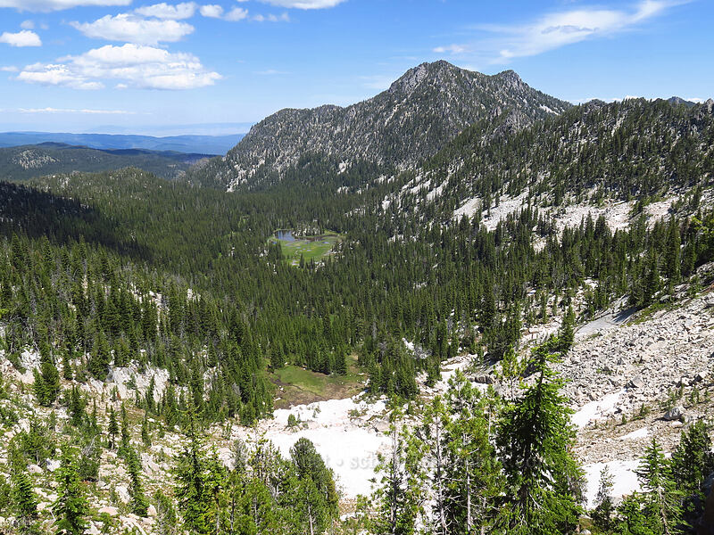 Van Patten Butte & Antone Creek Valley [Angell Pass, Wallowa-Whitman National Forest, Baker County, Oregon]