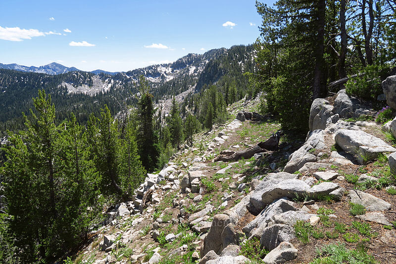 granite terraces [Elkhorn Crest Trail, North Fork John Day Wilderness, Baker County, Oregon]