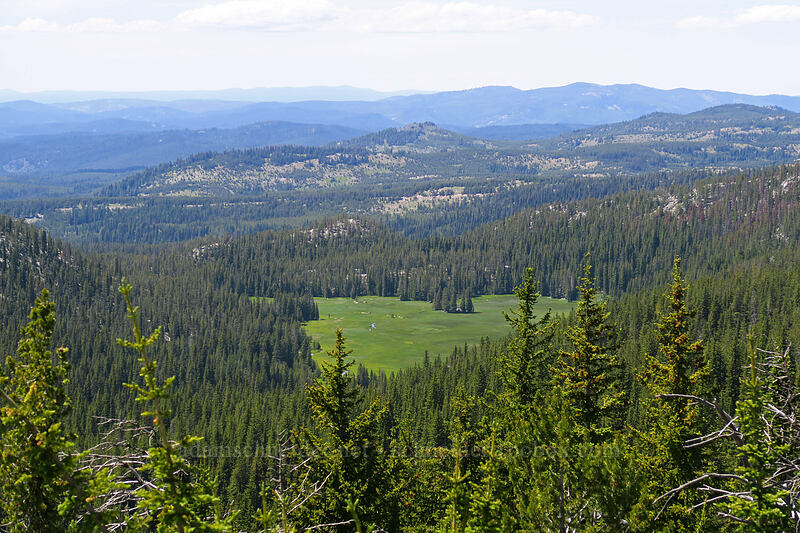Crawfish Meadow [Dutch Flat Saddle, North Fork John Day Wilderness, Grant County, Oregon]