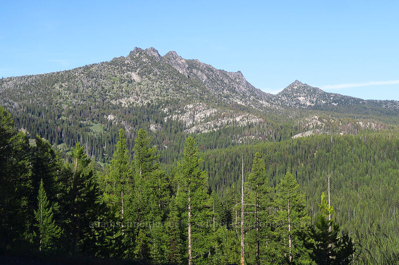 The Lakes Lookout, Lee's Peak, Angell Peak, & Peak 8358 [Forest Road 73, Wallowa-Whitman National Forest, Grant County, Oregon]