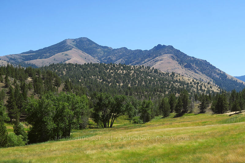Aldrich Mountains [Fields Creek Road, Grant County, Oregon]
