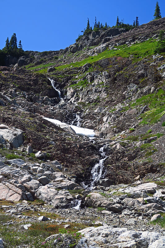 snowmelt stream [above Lake of the Angels, Olympic National Park, Mason County, Washington]