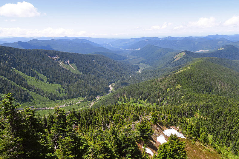 Sandy River Valley [McNeil Point scramble trail, Mt. Hood Wilderness, Hood River County, Oregon]