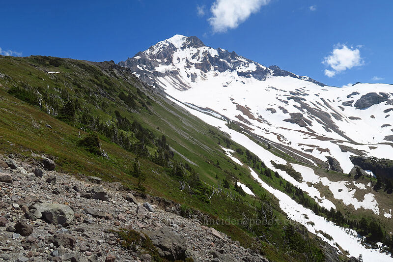 Mount Hood [above McNeil Point, Mt. Hood Wilderness, Clackamas County, Oregon]