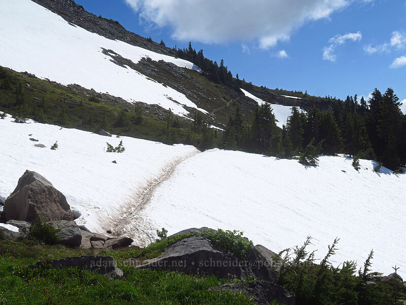 McNeil Point Trail [McNeil Point Trail, Mt. Hood Wilderness, Hood River County, Oregon]