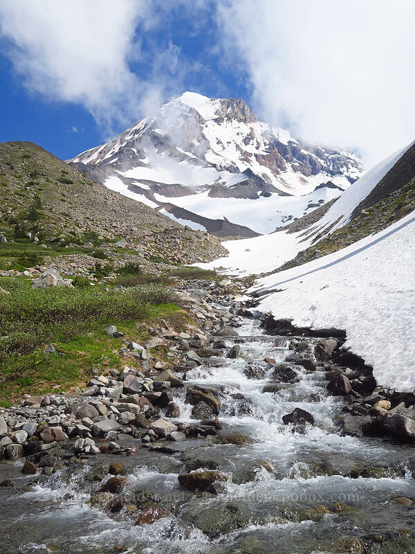 Mount Hood & Glisan Creek [above Cairn Basin, Mt. Hood Wilderness, Hood River County, Oregon]