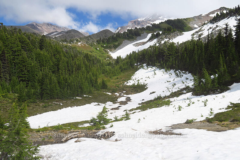 snowfields [Timberline Trail, Mt. Hood Wilderness, Hood River County, Oregon]
