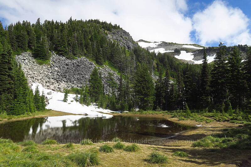 lower McNeil pond [Timberline Trail, Mt. Hood Wilderness, Hood River County, Oregon]