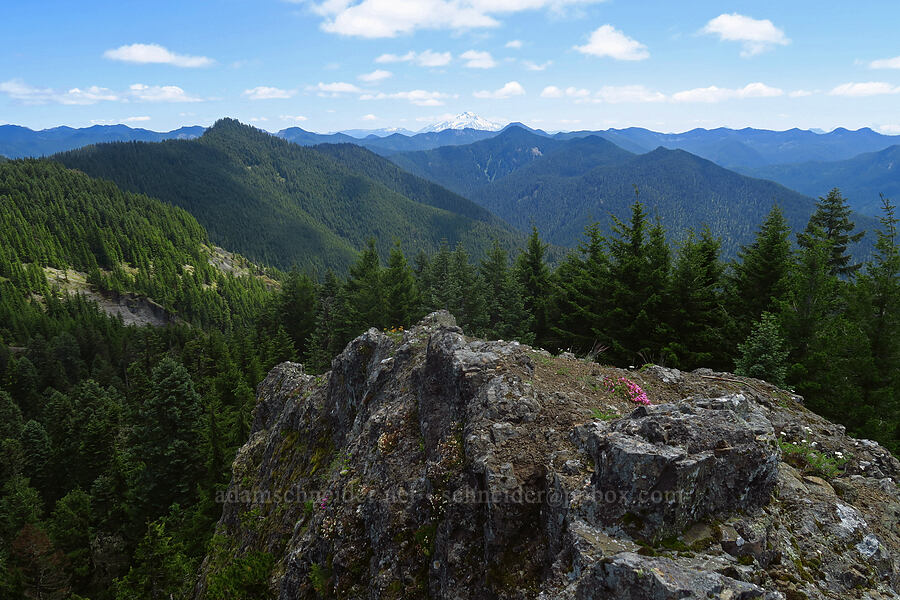 view from Nasty Rock [Nasty Rock, Clackamas County, Oregon]
