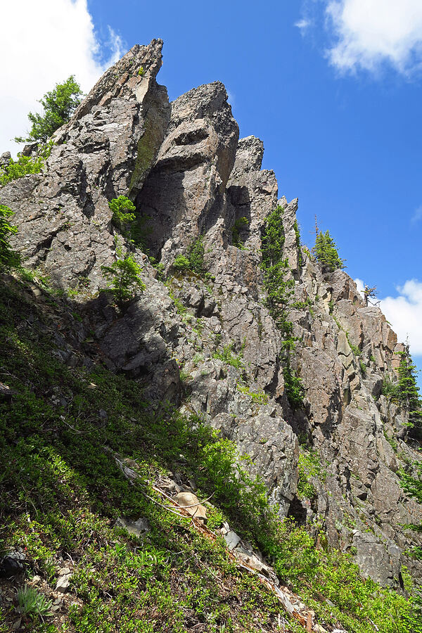 south end of Not Nasty Rock [Not Nasty Rock Trail, Willamette National Forest, Marion County, Oregon]