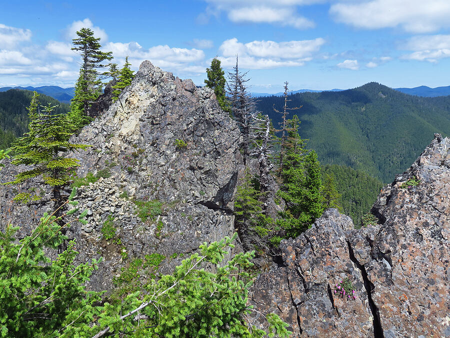 high point of Not Nasty Rock [Not Nasty Rock, Willamette National Forest, Marion County, Oregon]