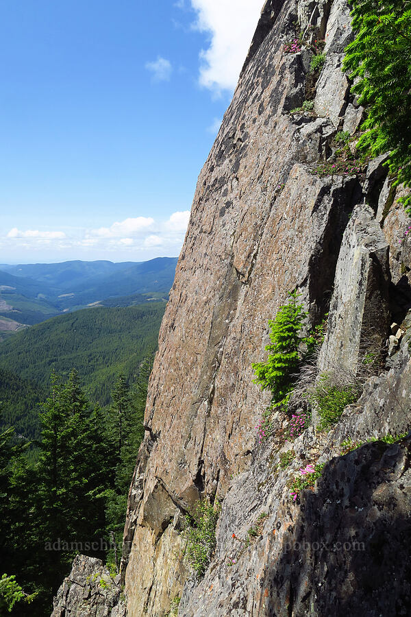 west edge of Not Nasty Rock [Not Nasty Rock, Willamette National Forest, Marion County, Oregon]