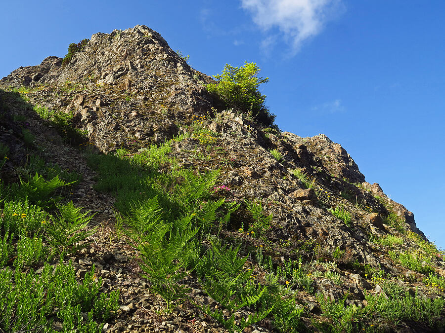south side of Nasty Rock [Nasty Rock, Clackamas County, Oregon]