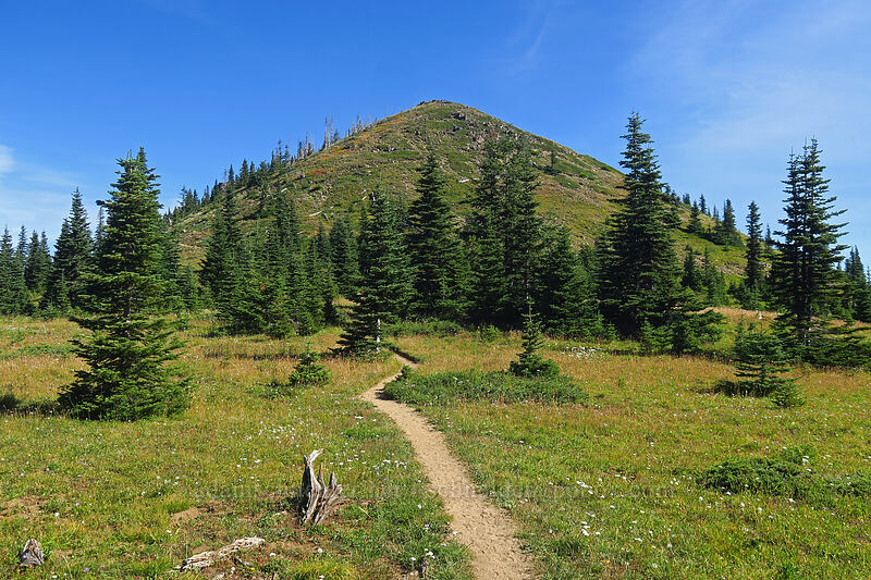 Noble Knob [Noble Knob Trail, Mt. Baker-Snoqualmie National Forest, Pierce County, Washington]