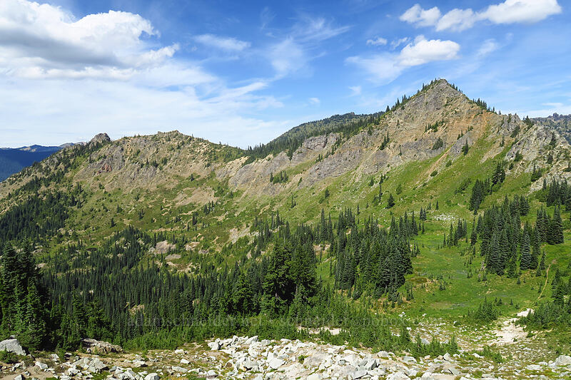 Deadwood Peak [Yakima Peak, Mount Rainier National Park, Pierce County, Washington]