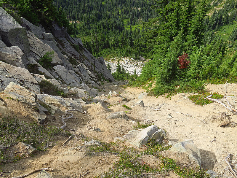 Yakima Peak's north gully [Yakima Peak, Mount Rainier National Park, Pierce County, Washington]