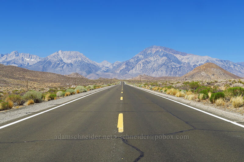 Basin Mountain & Mt. Tom [California SR-168, Inyo County, California]