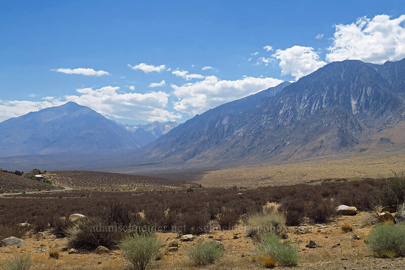 Round Valley, Mt. Tom, & Round Valley Peak [Lower Rock Creek Road, Mono County, California]