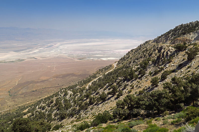 Owens Valley [Horseshoe Meadows Road, Inyo National Forest, Inyo County, California]