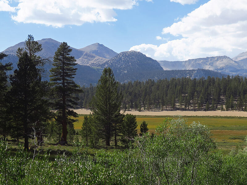 Cirque Peak & Round Valley [Mulkey Pass Trail, Golden Trout Wilderness, Inyo County, California]
