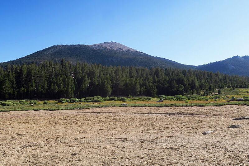 Horseshoe Meadow [Horseshoe Meadow, Golden Trout Wilderness, Inyo County, California]