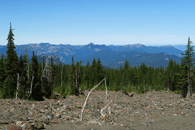 Dark Divide [Pacific Crest Trail, Mt. Adams Wilderness, Skamania County, Washington]