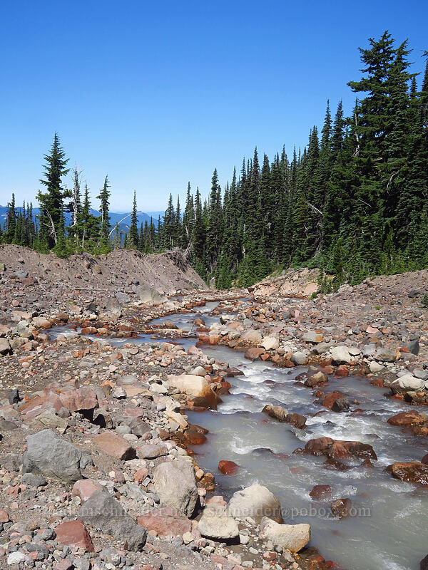 Adams Creek [Pacific Crest Trail, Mt. Adams Wilderness, Skamania County, Washington]