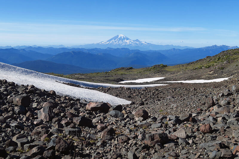 Mount Rainier & snowfields [Adams Glacier moraine, Mt. Adams Wilderness, Yakima County, Washington]