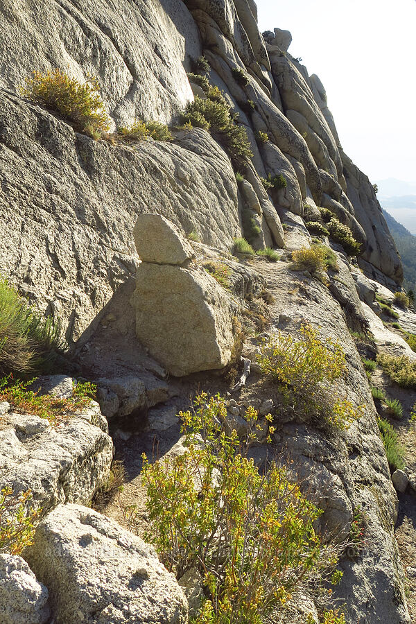 beyond the Ebersbacher Ledges [North Fork Lone Pine Creek Trail, John Muir Wilderness, Inyo County, California]