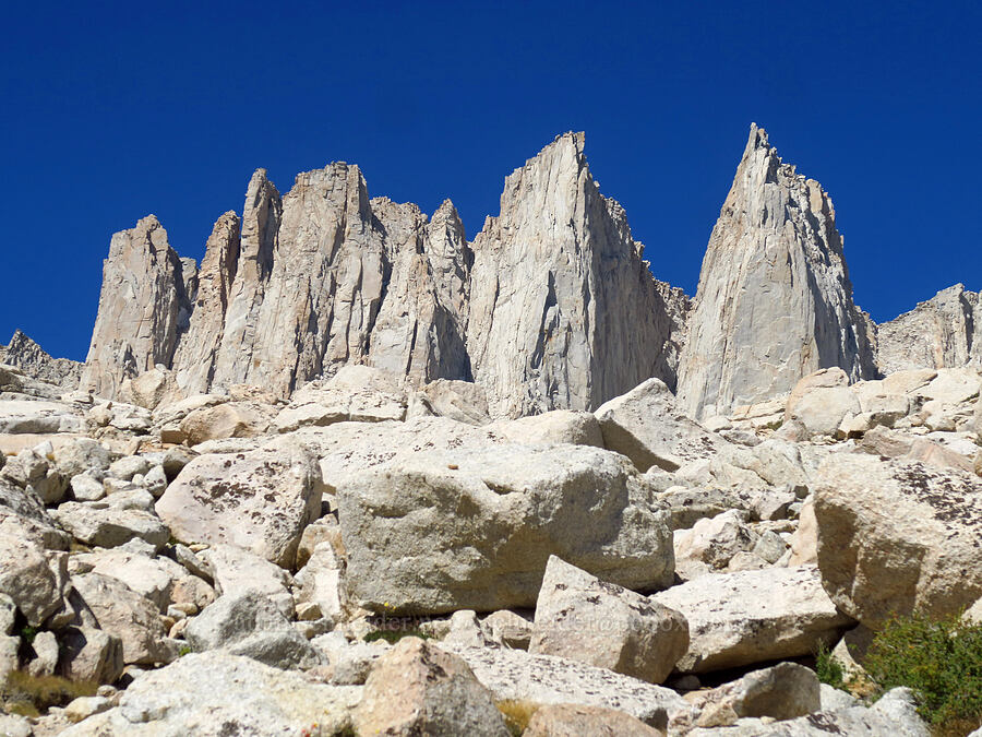 The Needles [North Fork Lone Pine Creek Trail, John Muir Wilderness, Inyo County, California]