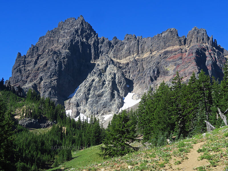 Three-Fingered Jack [Canyon Creek Meadows, Mt. Jefferson Wilderness, Jefferson County, Oregon]