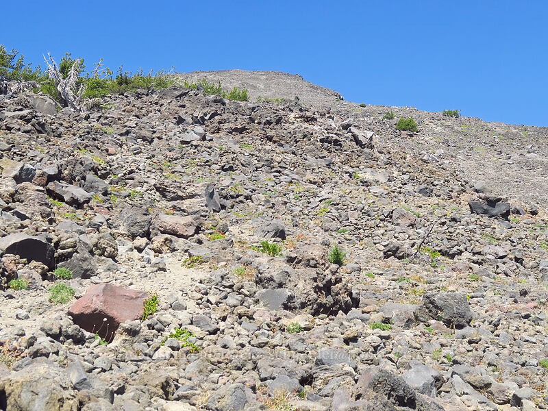 south side of Diamond Peak [Diamond Peak summit trail, Diamond Peak Wilderness, Lane County, Oregon]