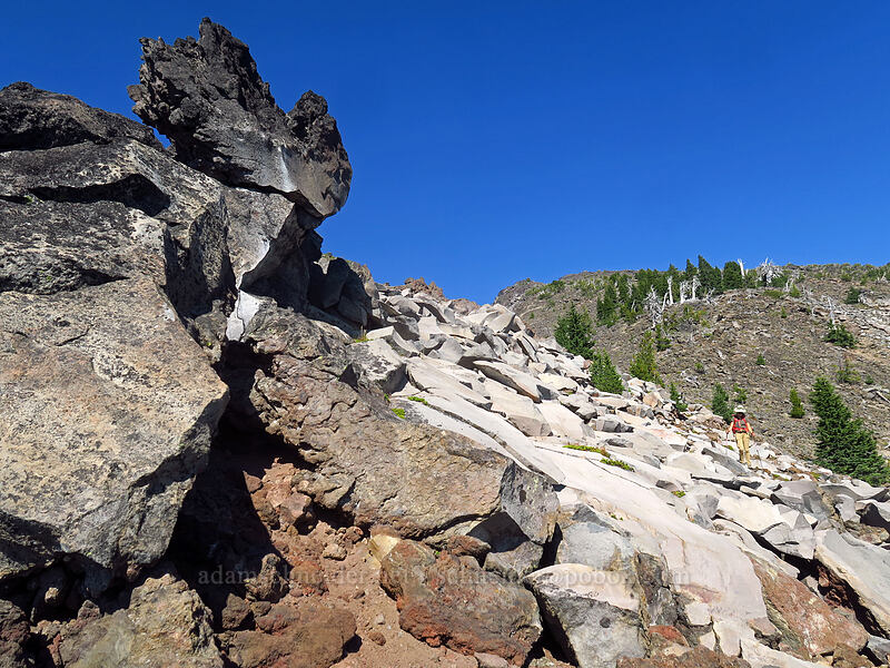 lava slabs [Diamond Peak's southwest ridge, Diamond Peak Wilderness, Lane County, Oregon]