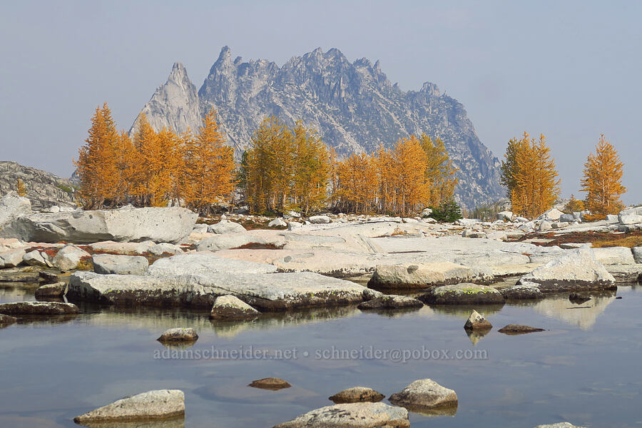 Prusik Peak, The Temple, & larches (Larix lyallii) [Upper Enchantment Basin, Alpine Lakes Wilderness, Chelan County, Washington]