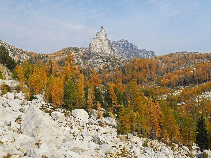 Prusik Peak & larches (Larix lyallii) [Enchantment Basin, Alpine Lakes Wilderness, Chelan County, Washington]