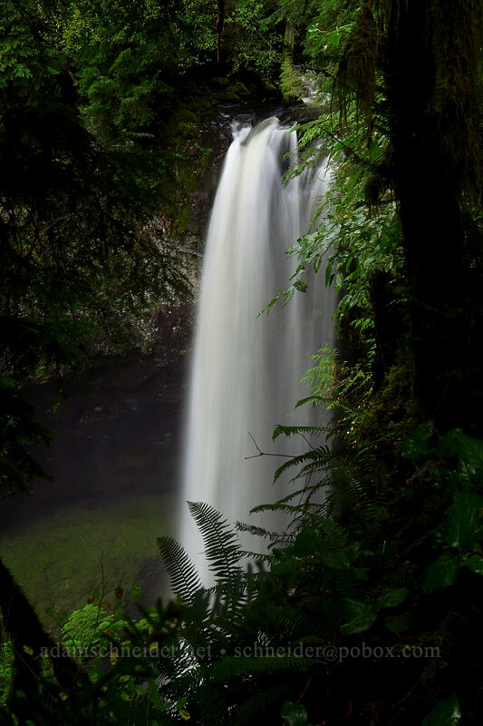 Big Creek Falls [Big Creek Falls Trail, Gifford Pinchot National Forest, Skamania County, Washington]