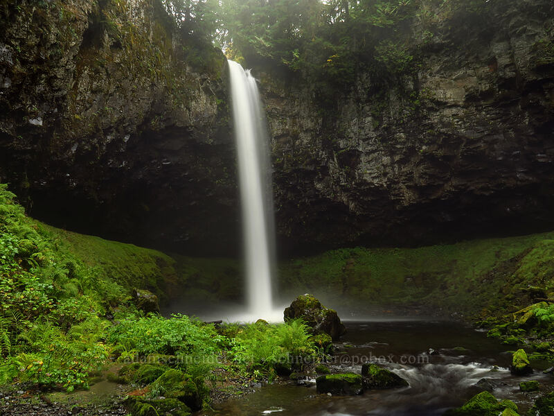 Big Creek Falls [Big Creek Falls Trail, Gifford Pinchot National Forest, Skamania County, Washington]