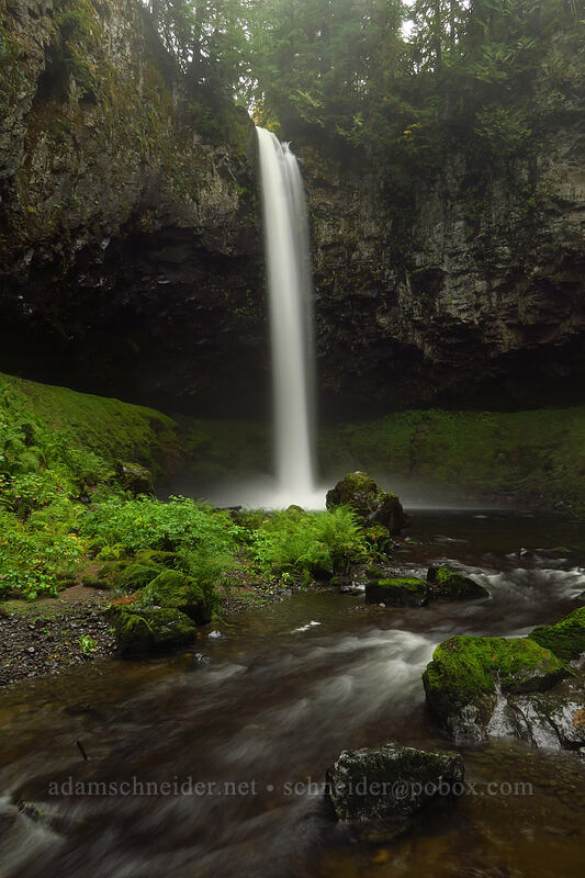 Big Creek Falls [Big Creek Falls Trail, Gifford Pinchot National Forest, Skamania County, Washington]