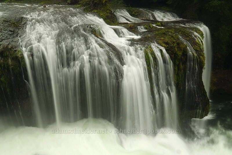 Upper Lewis River Falls [Lewis River Trail, Gifford Pinchot National Forest, Skamania County, Washington]