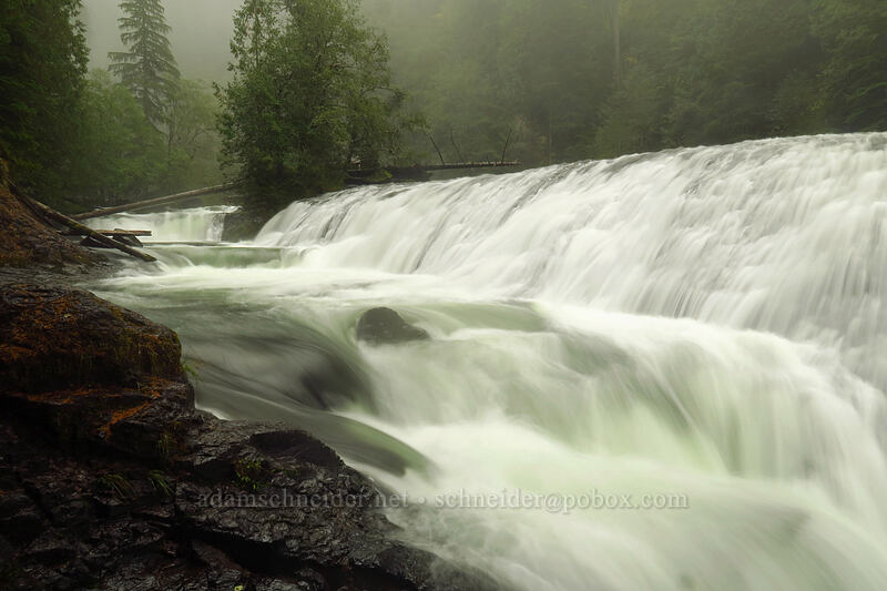 Upper Lewis River Falls [Lewis River Trail, Gifford Pinchot National Forest, Skamania County, Washington]