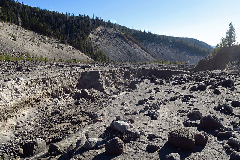 White River's channel [White River Canyon, Mt. Hood Wilderness, Hood River County, Oregon]