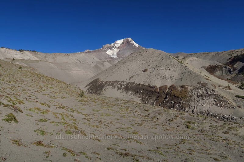 Mount Hood & White River Canyon [White River Canyon, Mt. Hood Wilderness, Hood River County, Oregon]