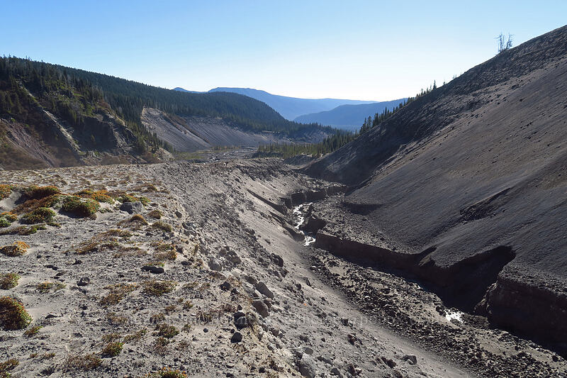 White River Canyon [White River Canyon, Mt. Hood Wilderness, Hood River County, Oregon]