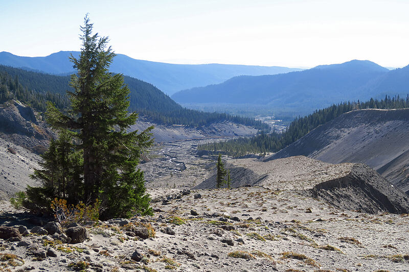 White River Canyon [White River Canyon, Mt. Hood Wilderness, Hood River County, Oregon]