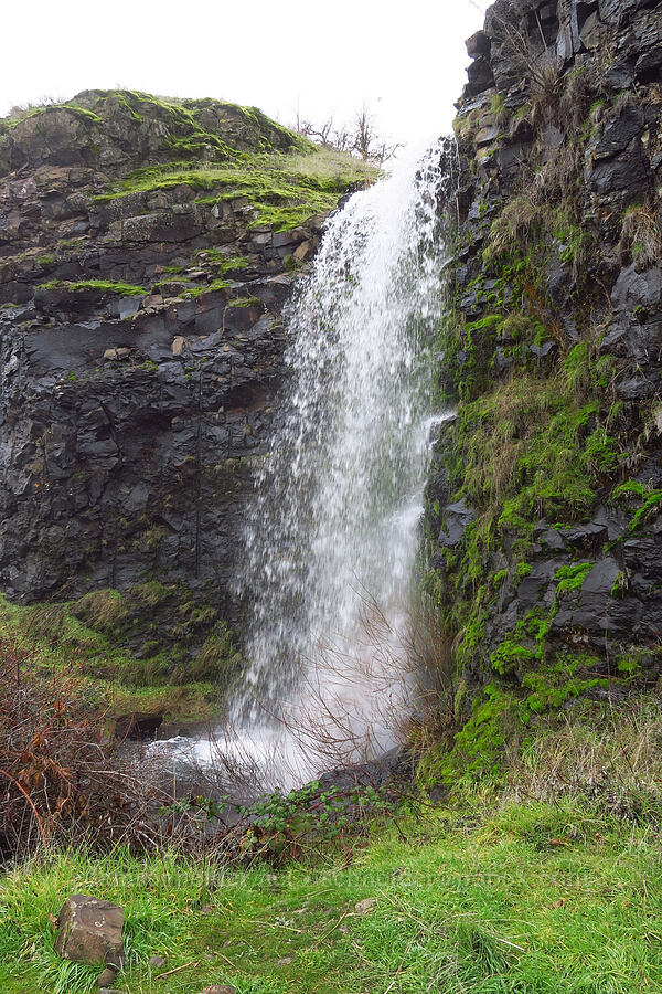 Lower Labyrinth Falls [The Labyrinth, Gifford Pinchot National Forest, Klickitat County, Washington]