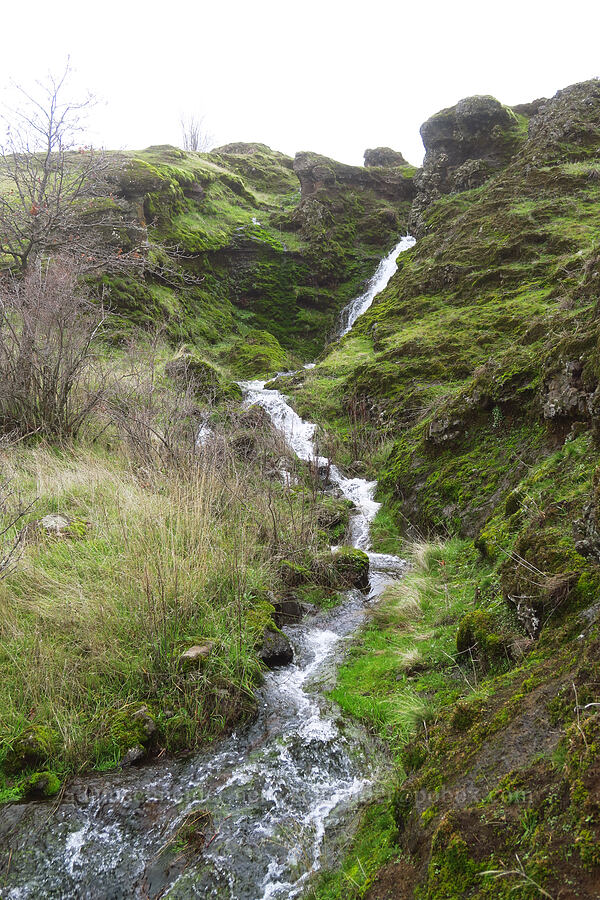tiny waterfall [The Labyrinth, Gifford Pinchot National Forest, Klickitat County, Washington]
