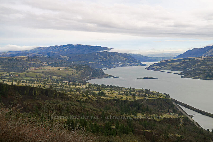 view to the east [The Labyrinth, Gifford Pinchot National Forest, Klickitat County, Washington]