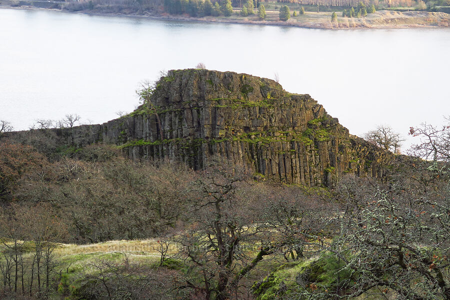 basalt crag [The Labyrinth, Gifford Pinchot National Forest, Klickitat County, Washington]
